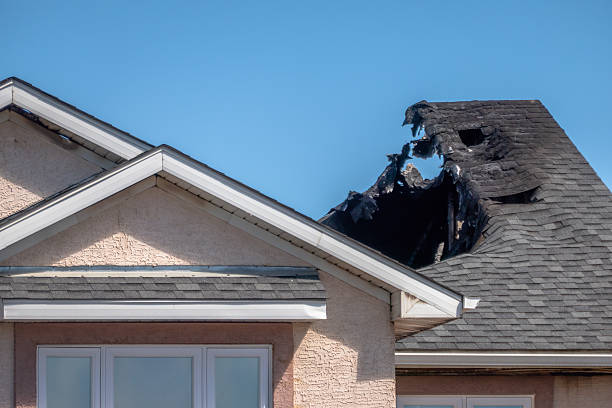 Top rated local Soot Cleanup specialists in Lake Mary, FL